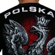 Koszulka Pit Bull KSW 40 Polska