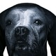 Koszulka Longsleeve Pit Bull California Dog